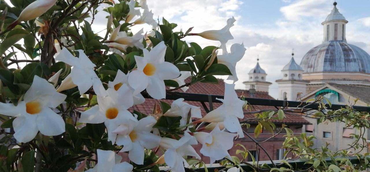 Una Favolosa Terrazza Nel Centro Di Roma Exterior photo